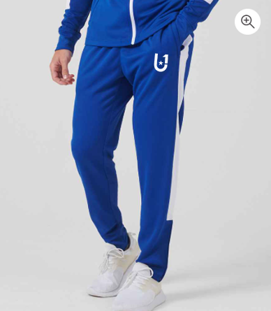 UNIFY Mens Crossover Track Pants Blue/White Stripes